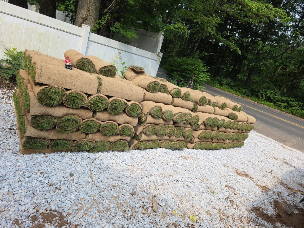 Pallets of fresh-cut sod ready for delivery
