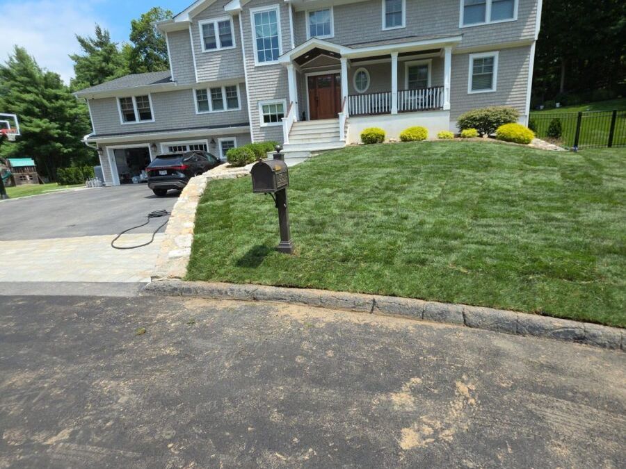 Residential Sod
