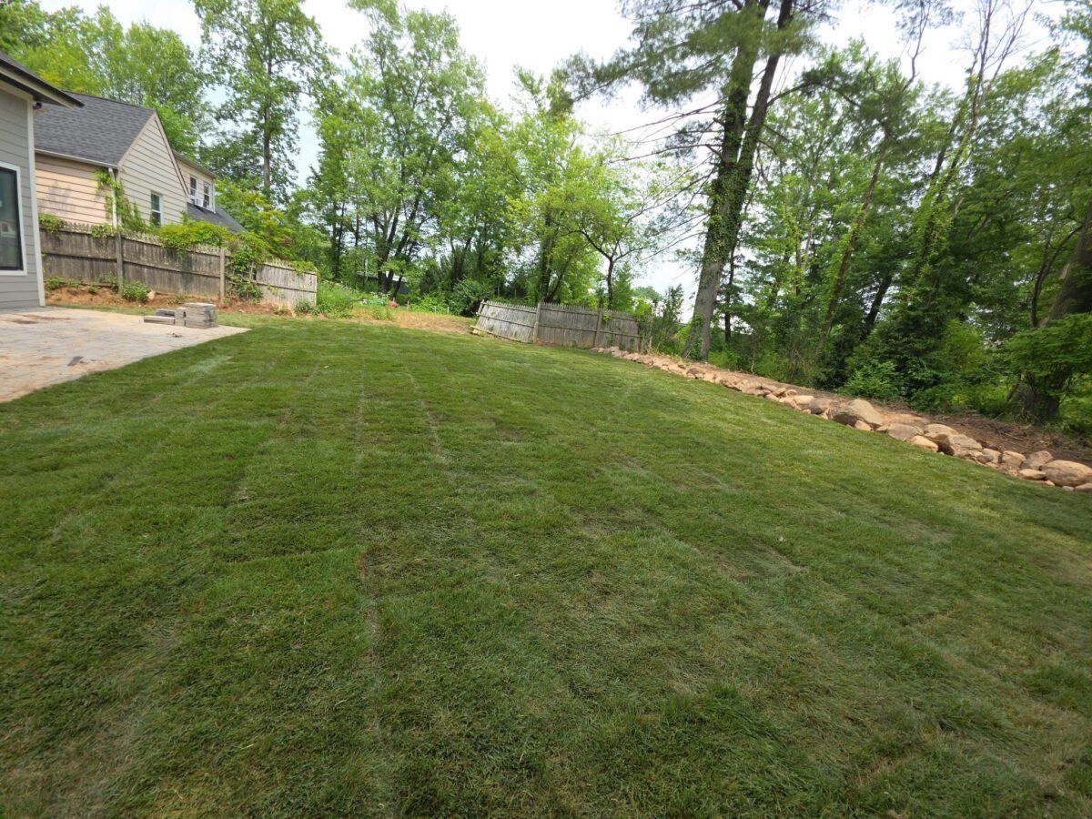 Finished East End Long Island sod installation showing a fresh residential lawn after soil prep and watering planning.