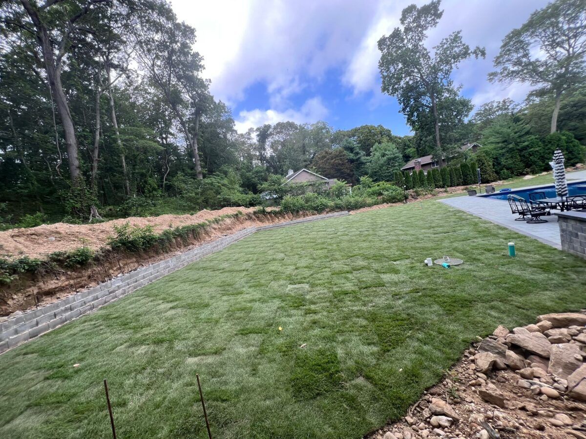 Zoysia Sod