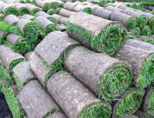 The Top Benefits of Using Local Sod Delivery Services For Your Long Island Lawn Project