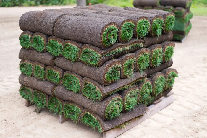 600 Square Feet of Sod-1 Pallet-Delivery Available