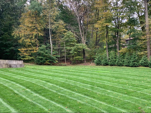 long island residential sod installation