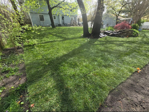 suffolk county, new york residential sod installation