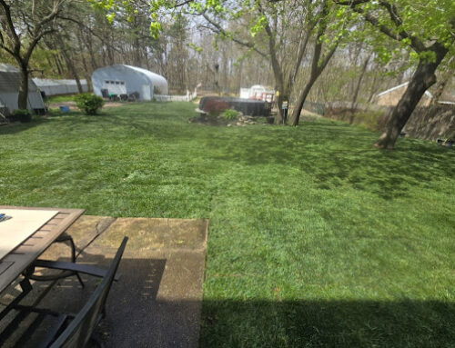 What to Expect on Sod Delivery & Installation Day