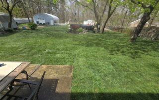suffolk county, new york residential sod installation
