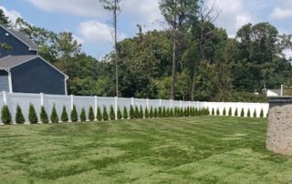 Fresh Central Nassau sod delivery and residential lawn installation planning on Long Island.