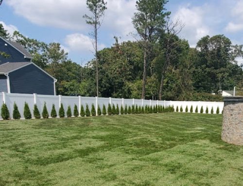 Central Nassau Sod Delivery on Long Island: What Homeowners Should Plan Before the Truck Arrives