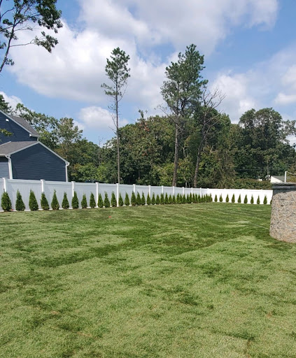 nassau county, new york residential sod installation