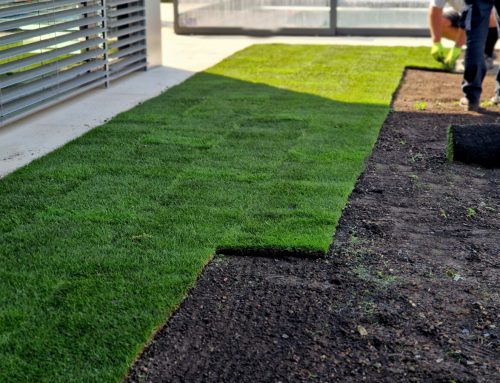 When Is The Best Time to Install Sod on Long Island?