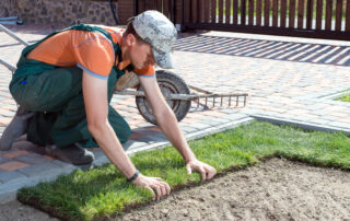 installing new sod into lawn