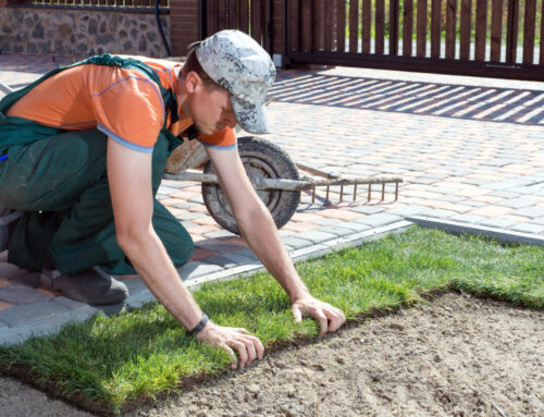 Long Island Sod Delivery – Why Work With Long Island Sod Co.