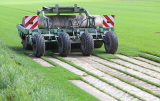 commercial sod being harvested