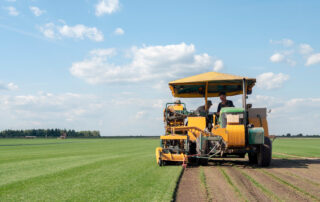 harvesting sod