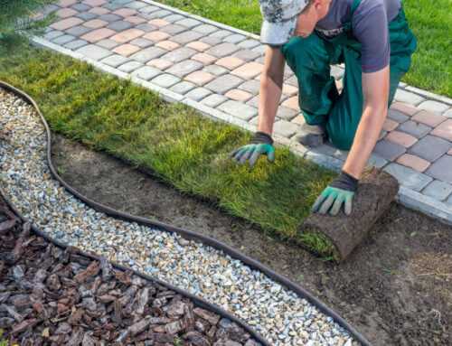 Is Fresh Sod Delivery Worth The Potential Extra Costs?