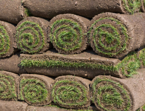 When Is the Best Time to Lay Sod in Nassau vs. Suffolk Counties?