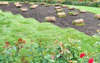 laying sod for Long Island home