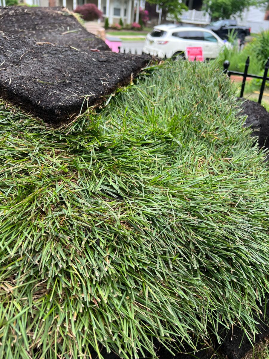 WhatsApp Image 2025-08-13 at 3.11.32 PM