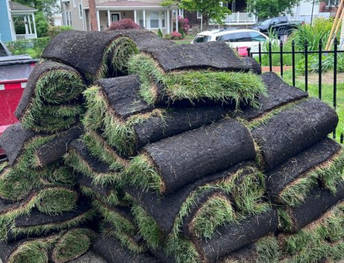 Hamptons Sod Delivery for Builders, Estates, and Landscape Projects