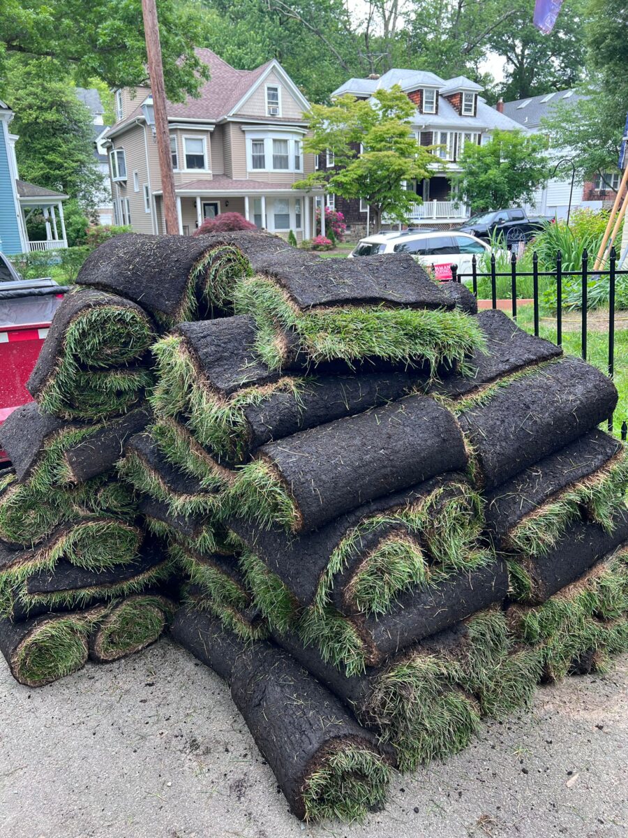 WhatsApp Image 2025-08-13 at 3.11.33 PM