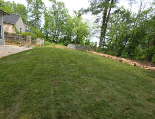 Is Residential Sod Installation Right For Your Long Island Property?