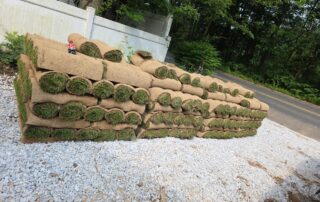 Zoysia Sod Delivery