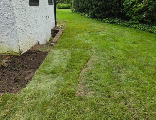 Sod Delivery for Long Island Contractors and Landscapers: Staging, Timing, and Jobsite Prep