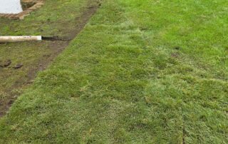 Fresh Long Island sod installation beside a home showing new turf over prepared soil for a side-yard lawn project.