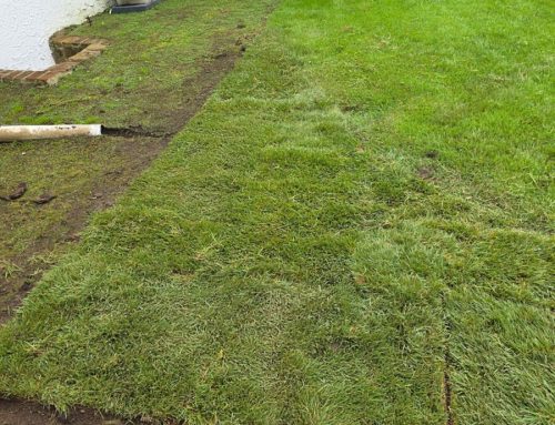Long Island Side-Yard Sod Installation: Access, Soil Prep, and Watering Tips