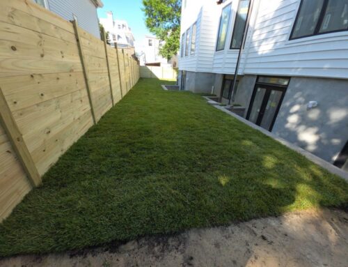 Benefits of Fescue Sod Installation For Shaded Long Island Lawns
