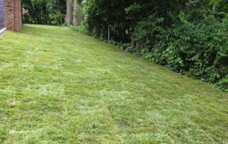Fresh Huntington and North Shore Long Island sod installation lawn with new turf beside a residential property.