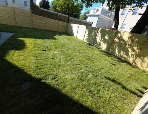 What’s The Best Time of Year for an Installation of Sod Lawn on Long Island?