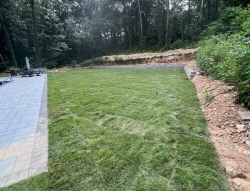 Why Hiring a Professional Sod Installation Company on Long Island Matters for Your Lawn