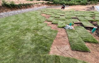 installing sod
