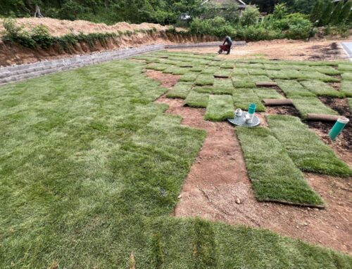 How To Compare One Sod Installation Company to Another — Key Questions to Ask