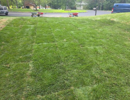 How Sod Enhances Curb Appeal Before Selling Your Home