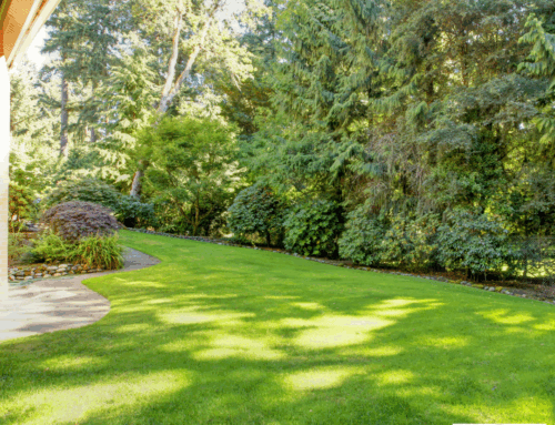 How to Keep Sod Green During Long Island’s Summer Heat Waves