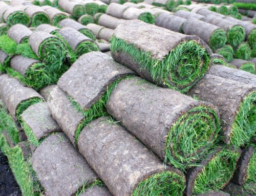 Sod Installation for New Construction Homes on Long Island: A Builder’s Guide to Perfect Lawns