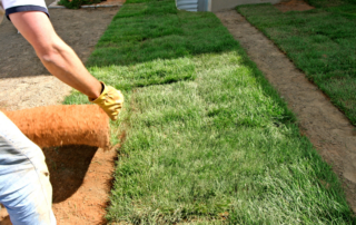 sod replacement on long island