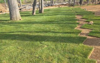 Finished South Shore Long Island sod installation showing healthy new lawn after coastal soil preparation