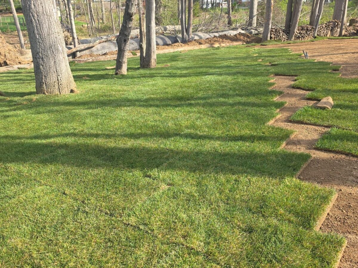 Finished sod installation project for Nassau County Long Island homeowners